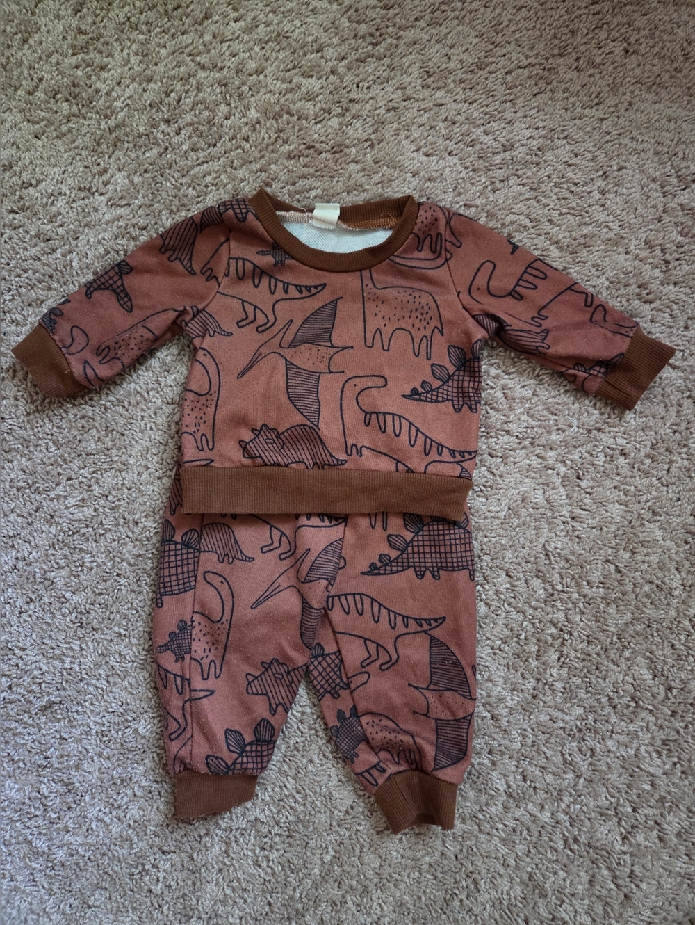 Baby Two-Piece Dino Print Set in Rust